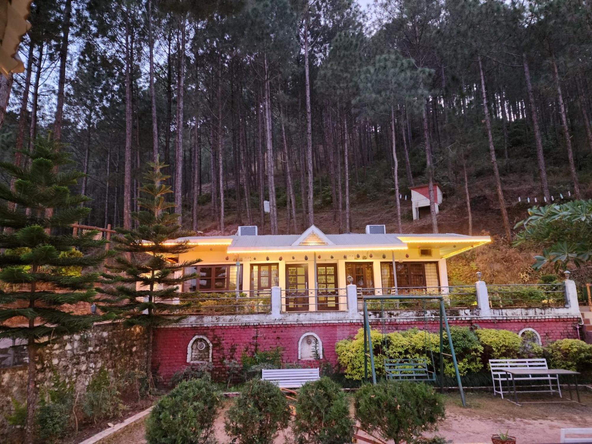 Pine Valley Resort Kasauli Eksteriør billede