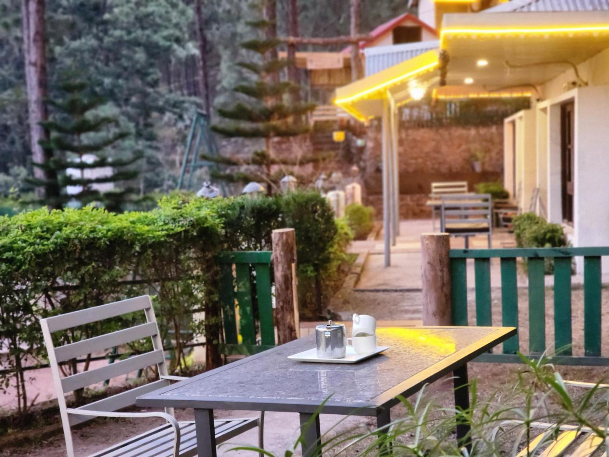 Pine Valley Resort Kasauli Eksteriør billede
