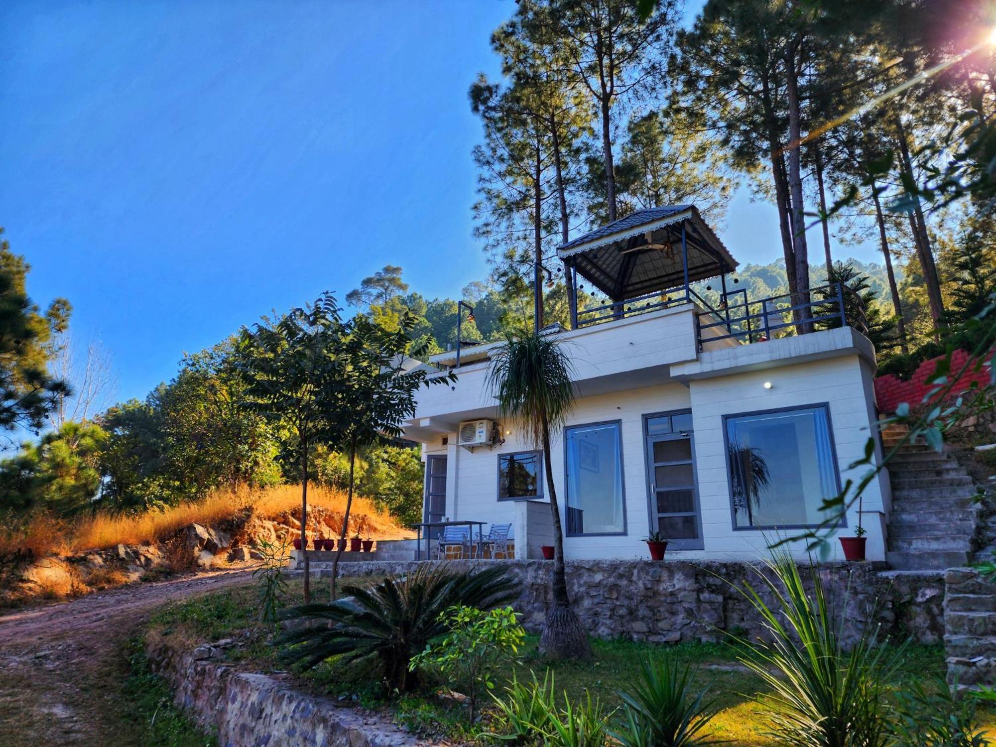 Pine Valley Resort Kasauli Eksteriør billede