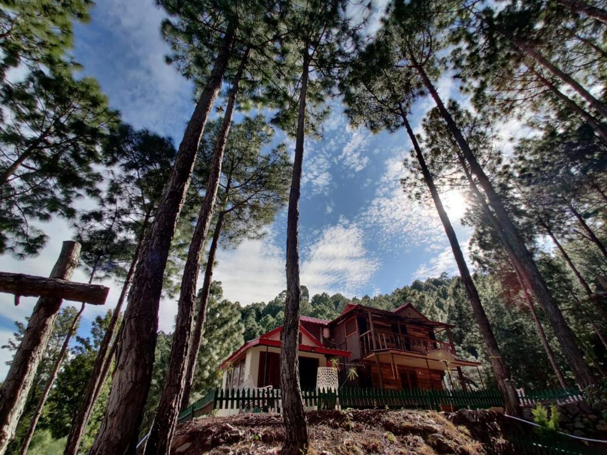Pine Valley Resort Kasauli Eksteriør billede